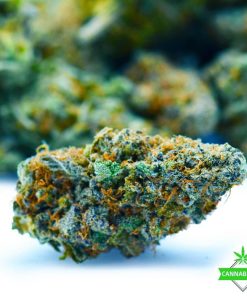 Cannabis Den — AAAA — Wedding Crasher