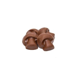 chocolate shroom edibles