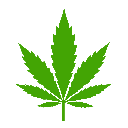 Edibles vs. Smoking Cannabis