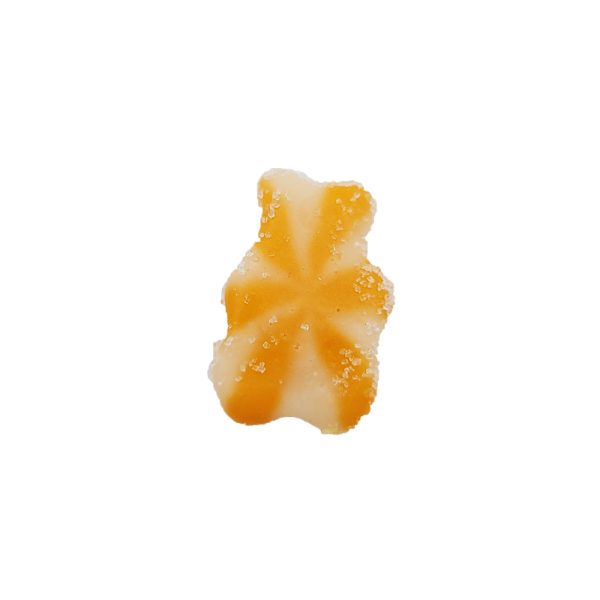 blossomx orange bear