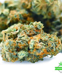 AA FIRE OG cannabisden