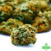 Mind High vs. Body High Granddaddy King Kong