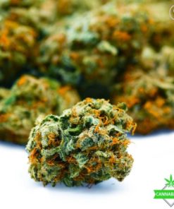 Mind High vs. Body High Granddaddy King Kong