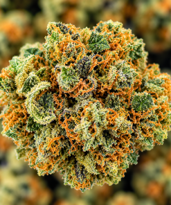 Pineapple Amnesia- AA- ($2.14/ gram) - Image 2