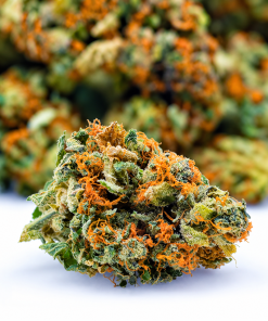 Strawberry Glue- AA- ($2.14/ gram)