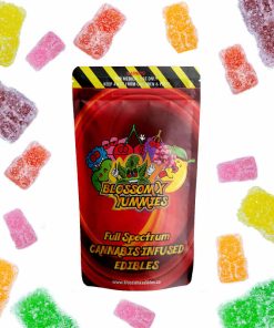 blossomx sugar free bears edibles