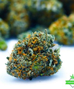 Godfather OG - King Craft