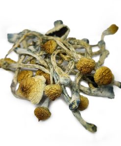 blue meanie magic mushrooms
