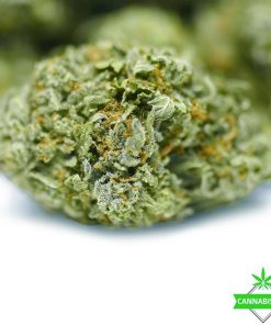 Hashberry AAA flower