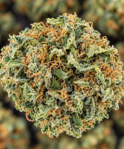 Black Nuken- AA- ($2.14/ gram) - Image 2