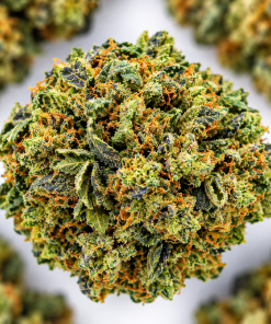 Blue Mataro- AAAA- ($5.71/ gram) - Image 2