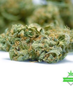 Black Nuken Indica Strain