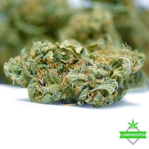 Black Nuken Indica Strain