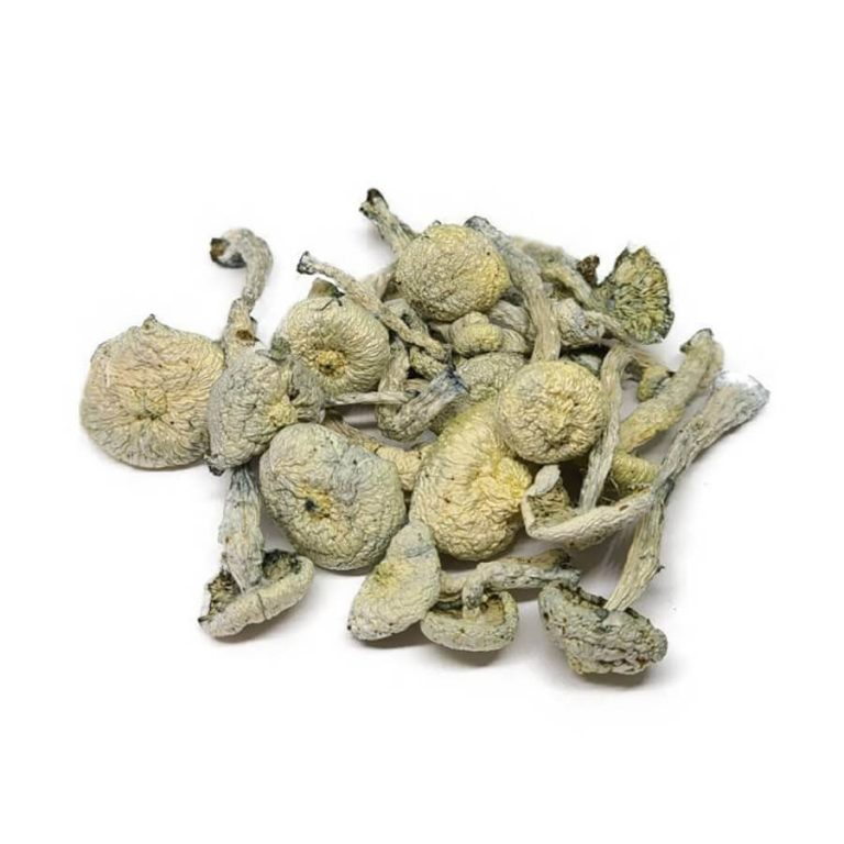 Albino A+ (Shrooms) – Cannabis Den