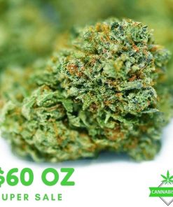 Love Potion OG AA - cannabisden