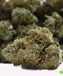 Black Candyland AAA Flower