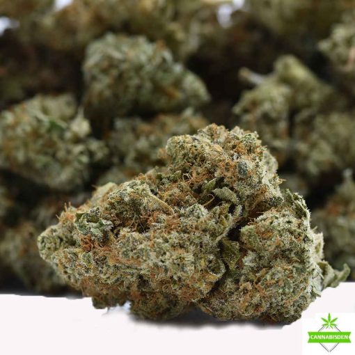 Black Candyland AAA Flower