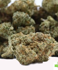black candyland cannabis flower