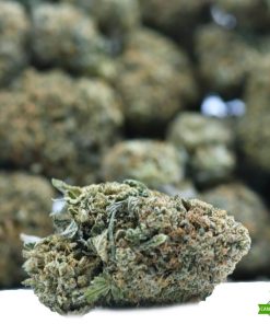 gorilla weed strain
