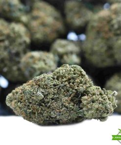 gorilla weed flower