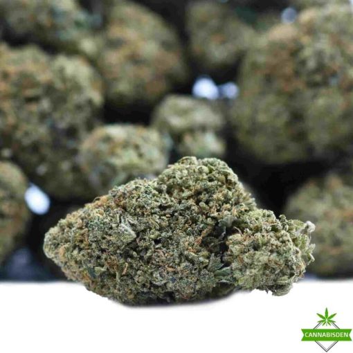 gorilla weed flower