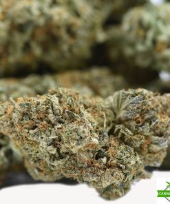 Mango Kush