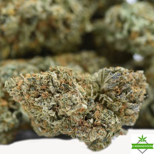 Mango Kush
