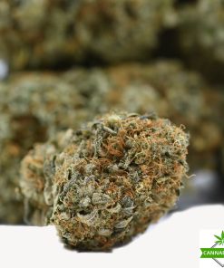 Cannabis Den — Mango Kush