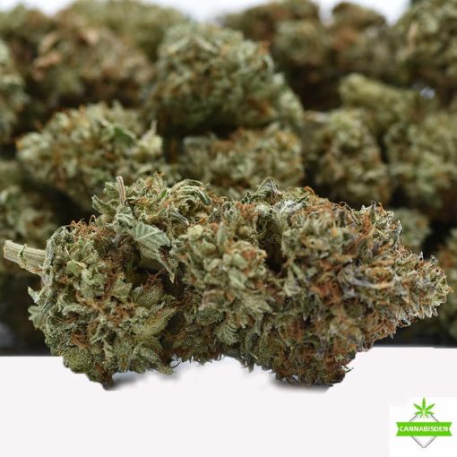 OG Fruity Pebbles flower