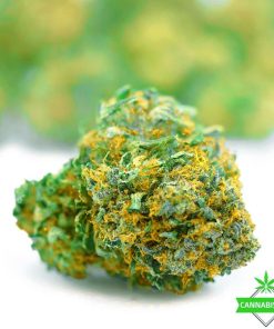 Rockstar Tuna flower