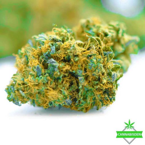 cannabis flower