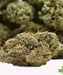 Oreoz Cannabisden