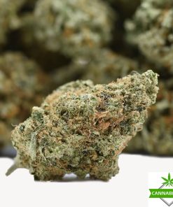 Oreoz strain
