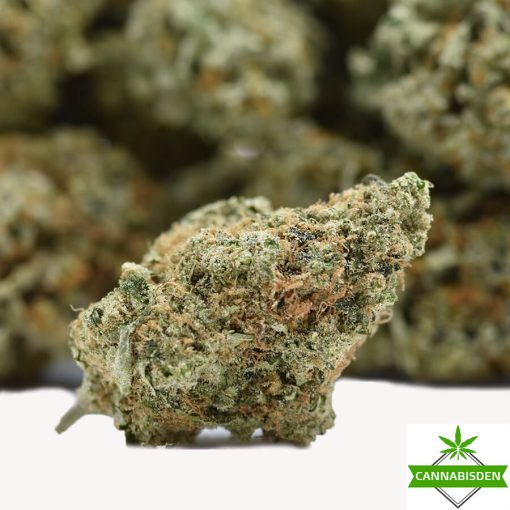 Oreoz strain