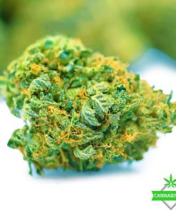 Rockstar Master Kush flowers