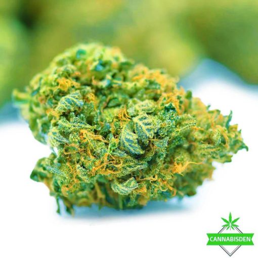 Rockstar Master Kush flowers