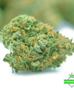 Rockstar Master Kush - AAAA