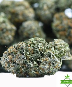 Best Mike Tyson OG Strain at Cannabis Den
