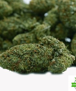 Blue Cheese