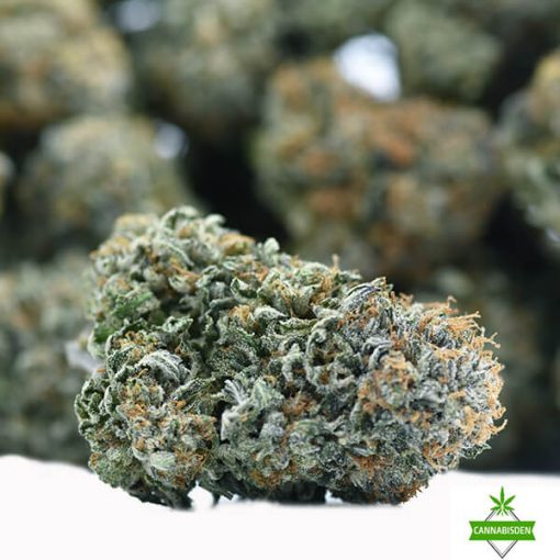 death bubba weed