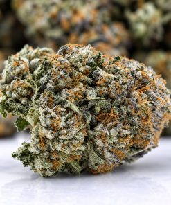 First Class Funk- King Craft- ($10.71/ gram) - Image 2