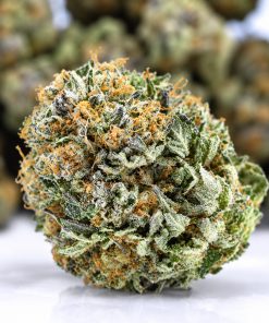 First Class Funk- King Craft- ($10.71/ gram) - Image 3