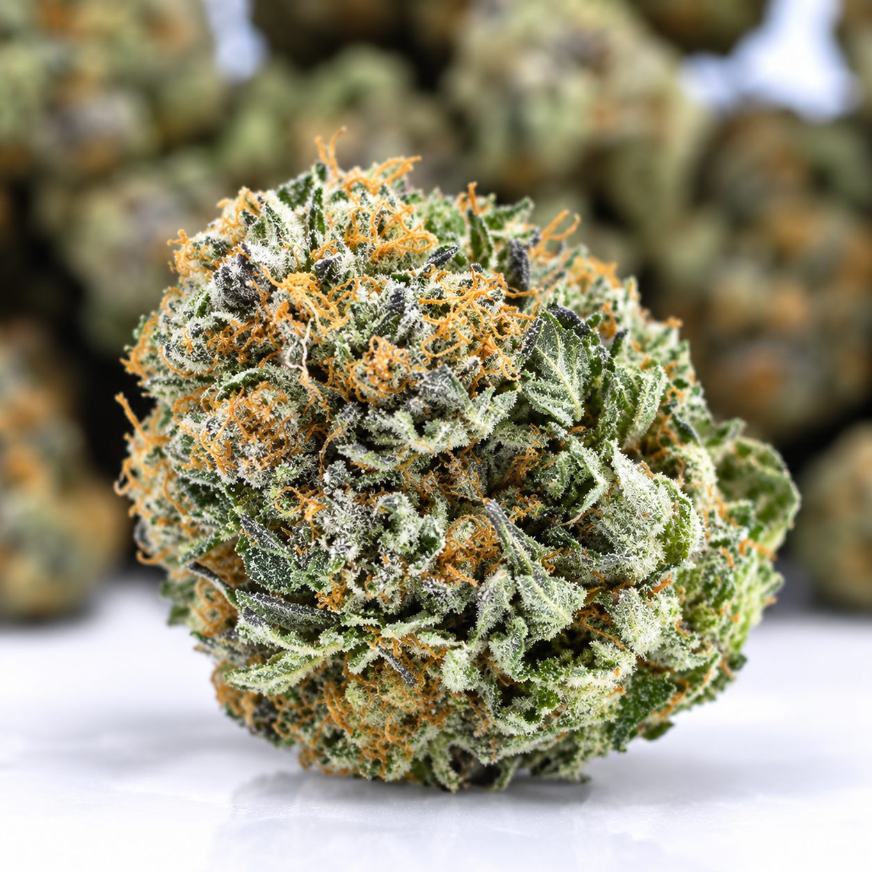 First Class Funk- King Craft- ($10.71/ gram) - Image 3