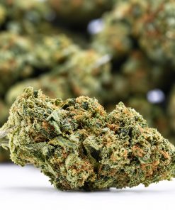 Grape Runtz- AA- ($2.14/ gram)