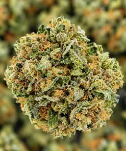 Grape Runtz- AA- ($2.14/ gram) - Image 2