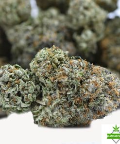 king shark weed flower