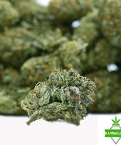 NYC Diesel - AAA
