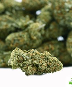 New Strain Durban Poison - AA