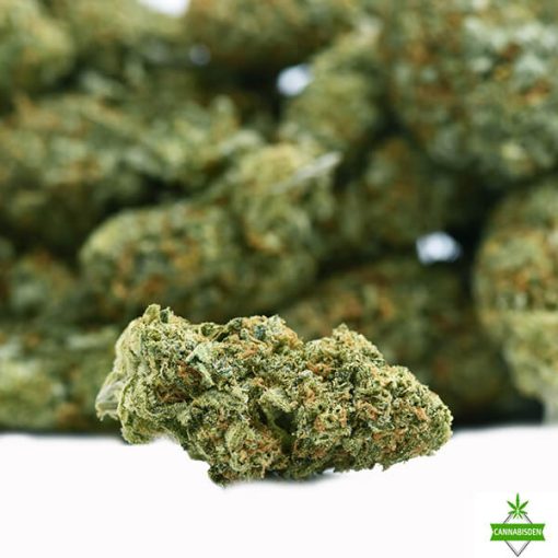 New Strain Durban Poison - AA