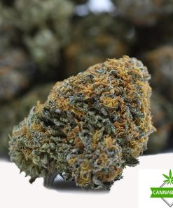 Alaskan Thunder Fuck AAA Flower
